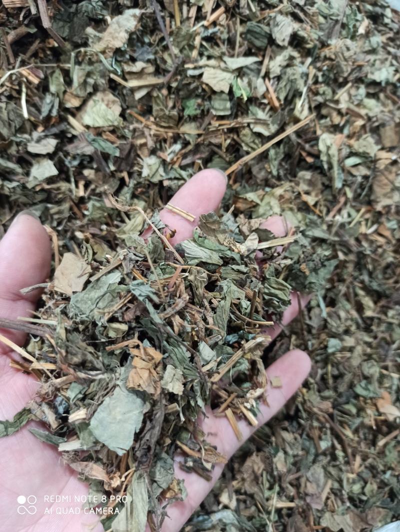 鱼腥草鱼腥草叶可打粉批发零售中药材品质保证