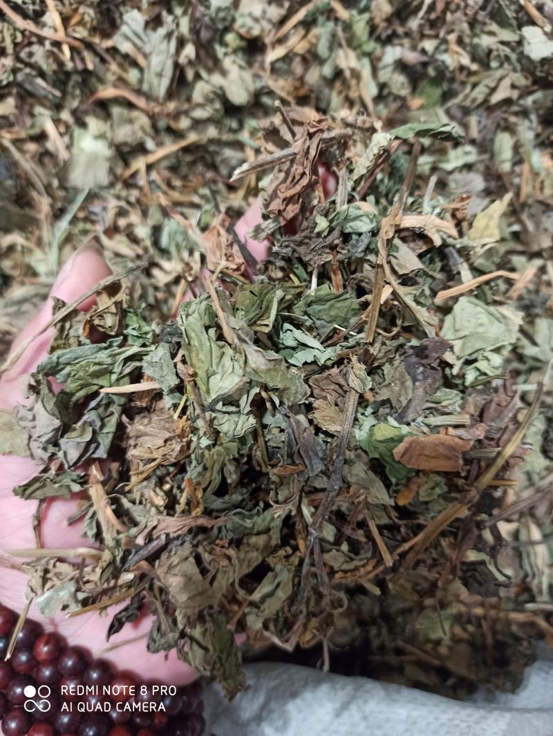 鱼腥草鱼腥草叶可打粉批发零售中药材品质保证