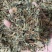 鱼腥草鱼腥草叶可打粉批发零售中药材品质保证