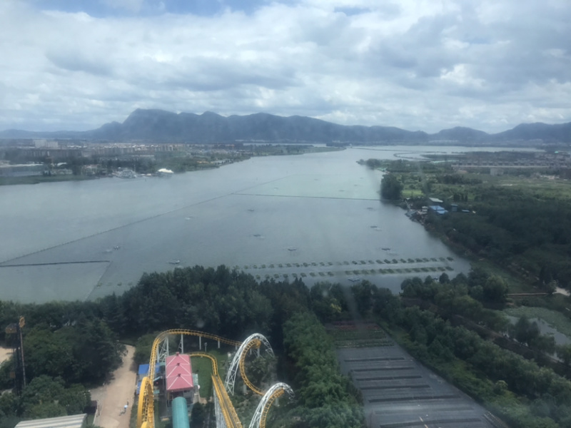 优质新鲜猪心大量低价供货货源充足一手货源