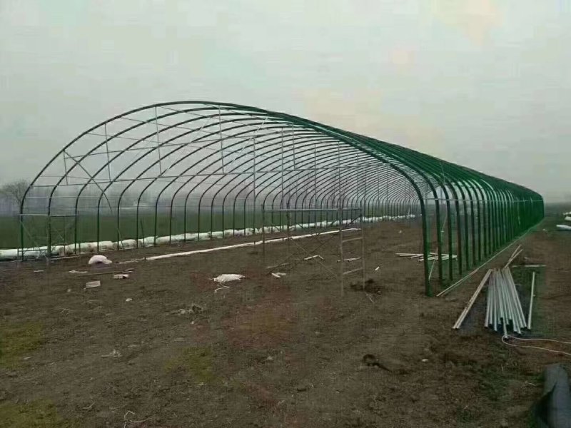 养猪大棚养牛大棚钢管大棚包塑椭圆管大棚