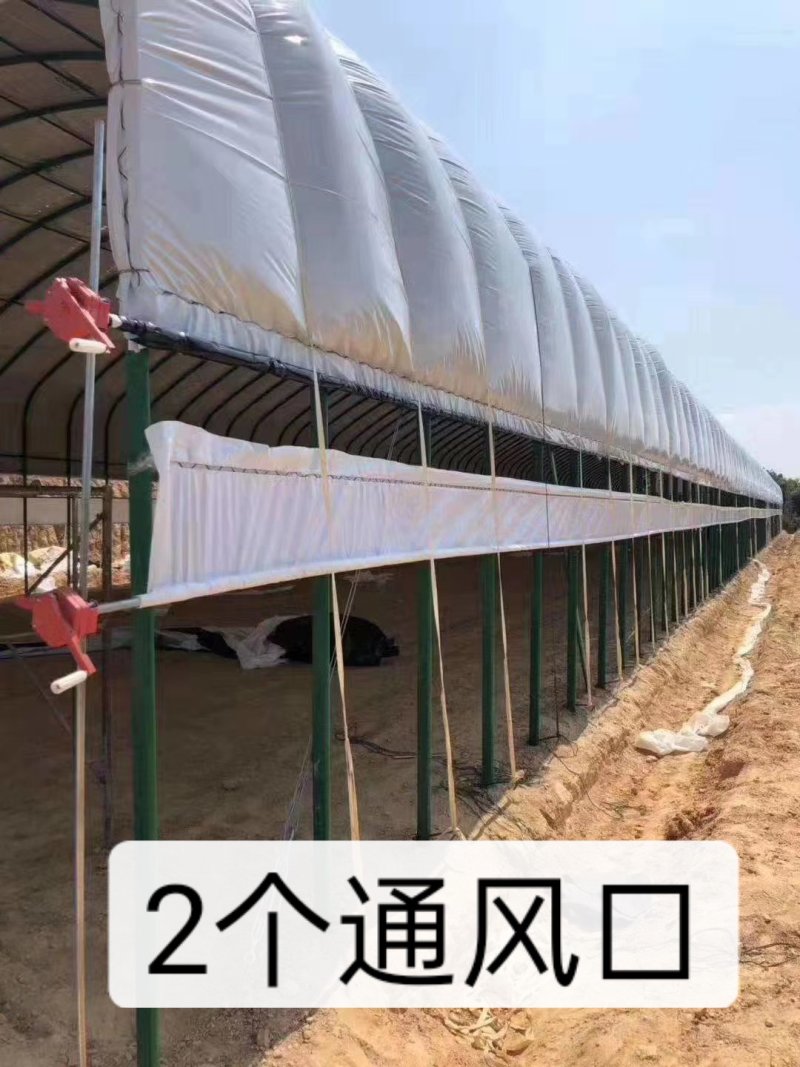 养猪大棚养牛大棚钢管大棚包塑椭圆管大棚