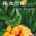 【脐橙】精品伦晚脐橙品质保证量大从优支持发货诚信经营