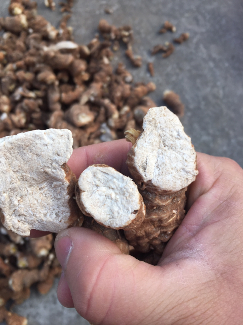 纯野生重楼，粉性好，含量足