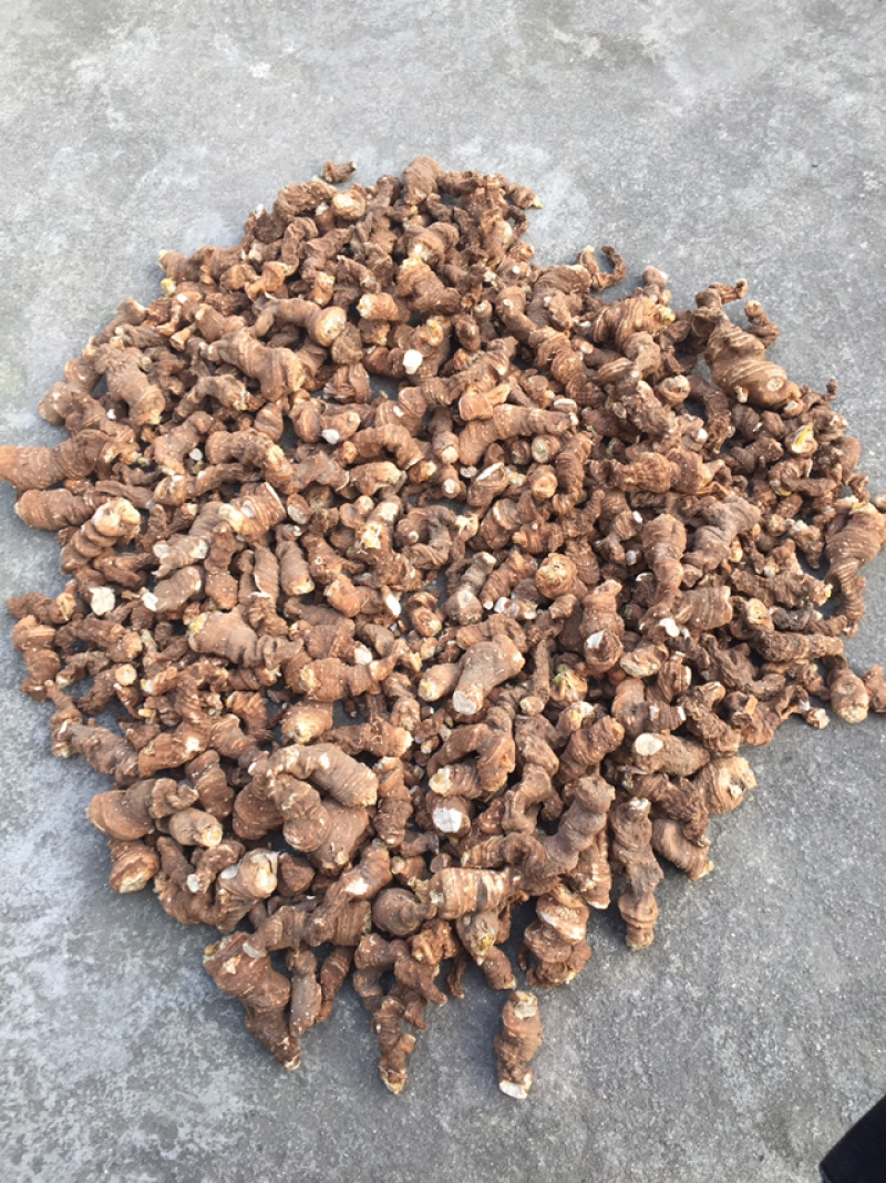 纯野生重楼，粉性好，含量足
