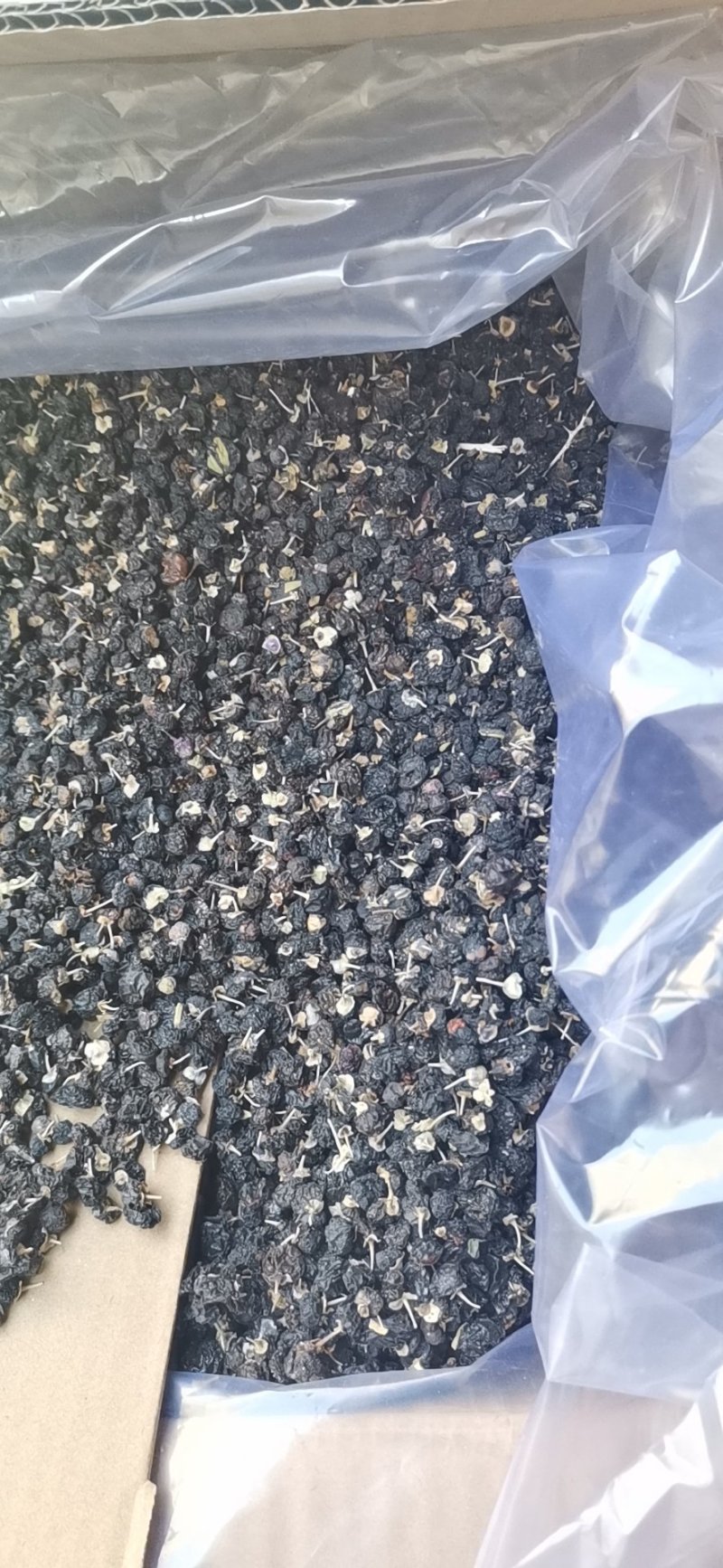 精品黑枸杞大量现货批发，欢迎咨询！