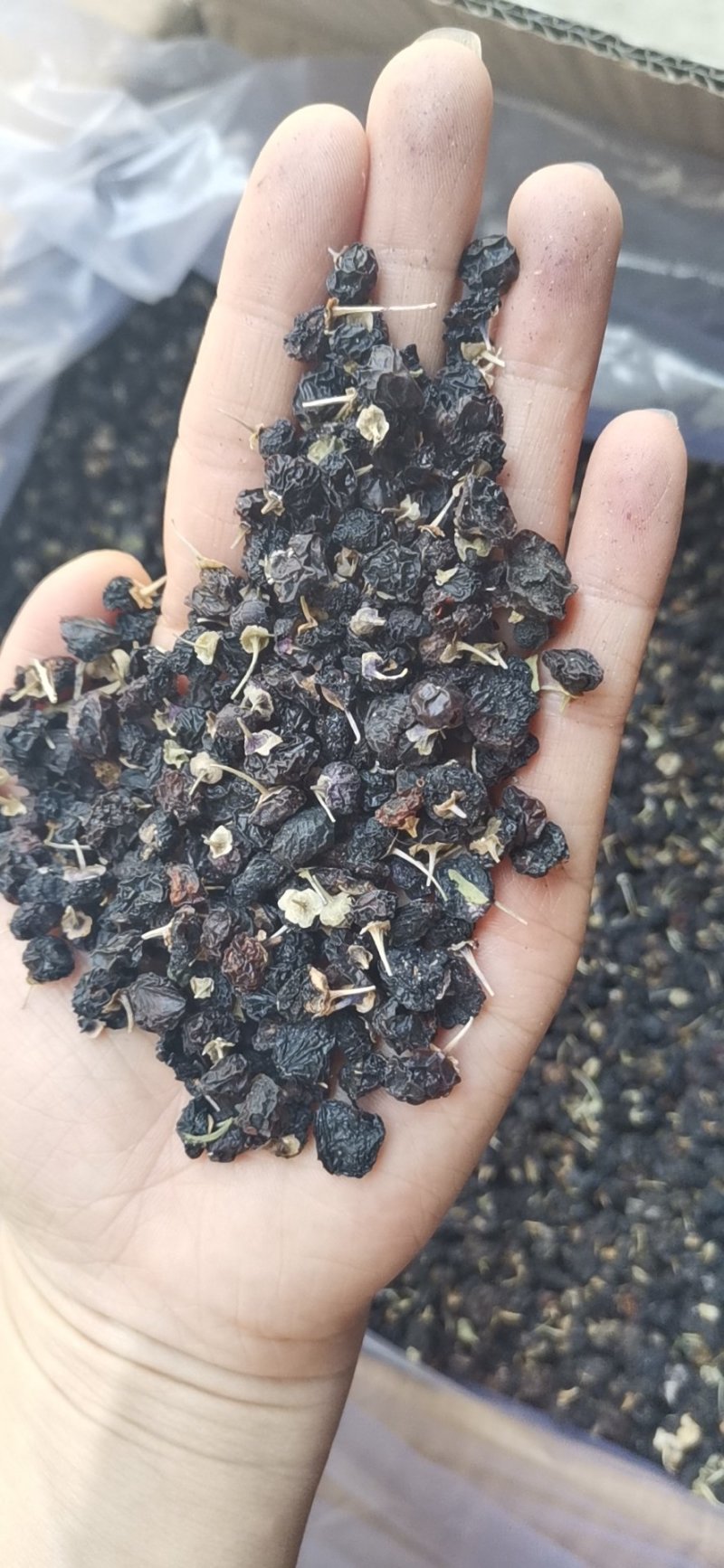 精品黑枸杞大量现货批发，欢迎咨询！