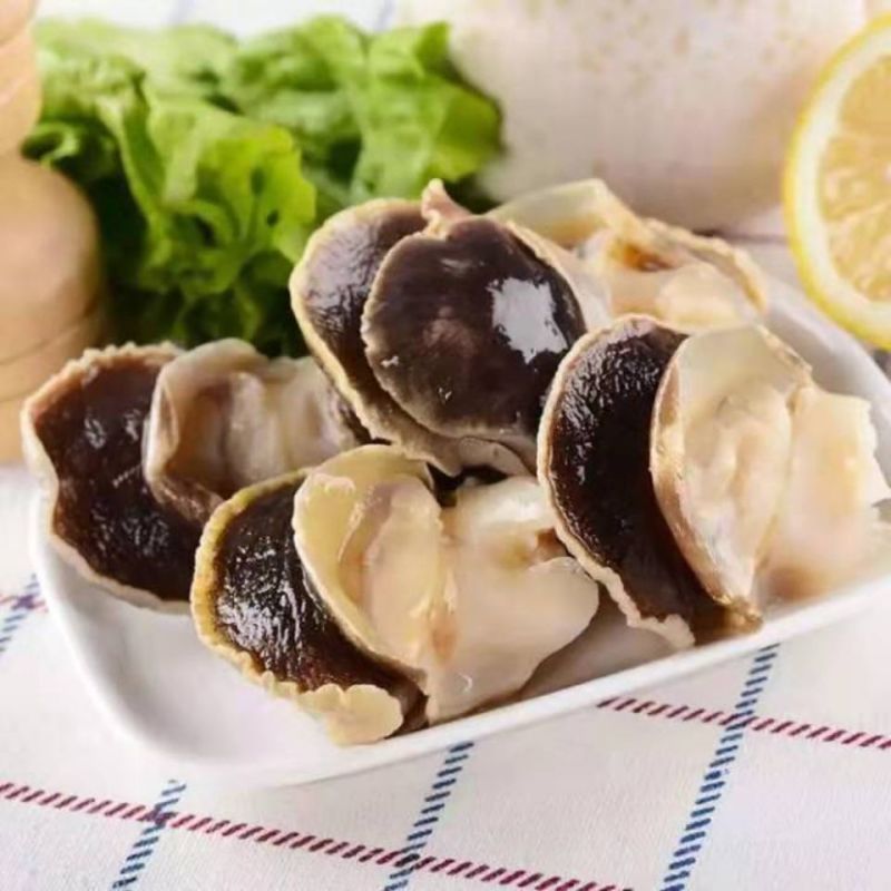 【产地直供】新鲜冷冻大香螺肉海螺头玉螺肉水产猫眼螺肉