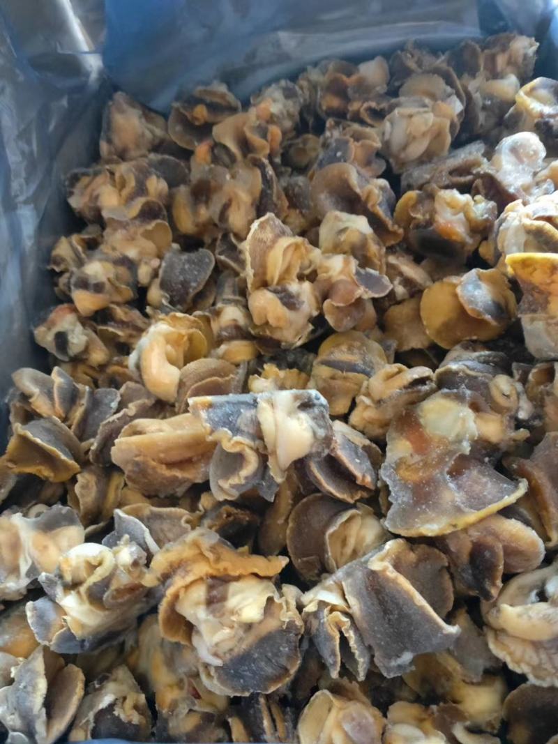 【产地直供】新鲜冷冻大香螺肉海螺头玉螺肉水产猫眼螺肉