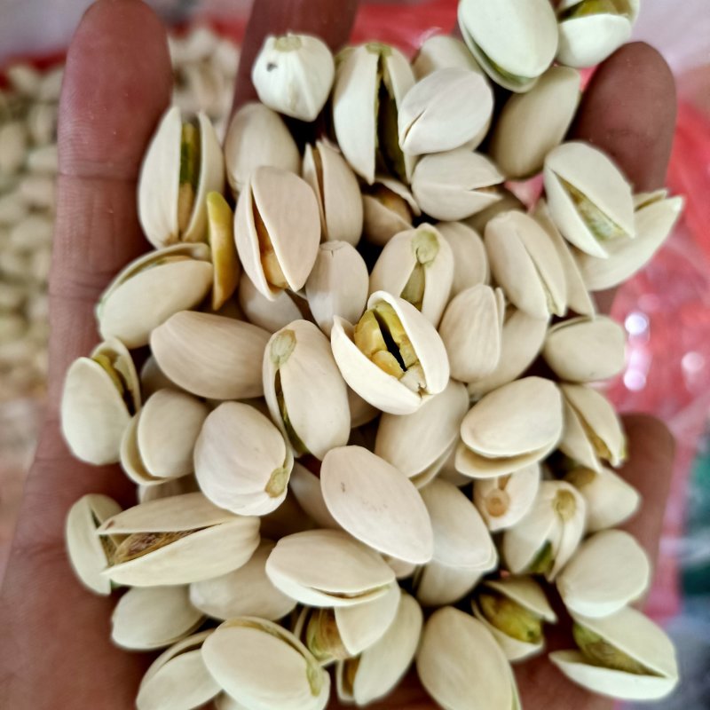【一件代发】开心果大自然水煮盐水开心果，肉厚香脆