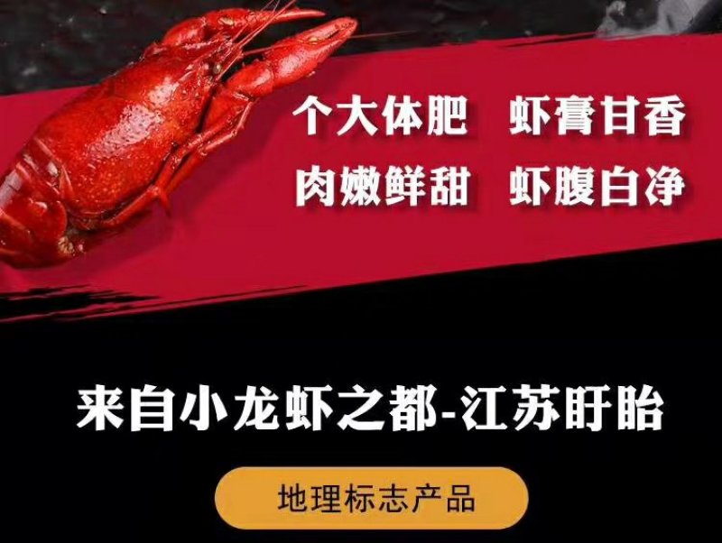 5-7中虾麻辣十三香蒜香香辣小龙虾真空包装