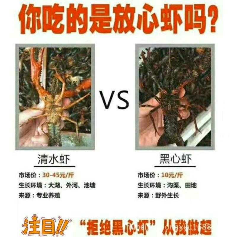 5-7中虾麻辣十三香蒜香香辣小龙虾真空包装