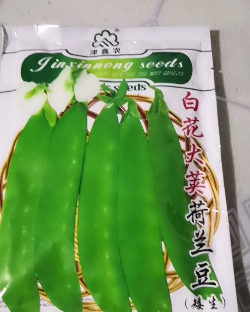 包邮白花大英荷兰豆，鑫农种子，种了都说好