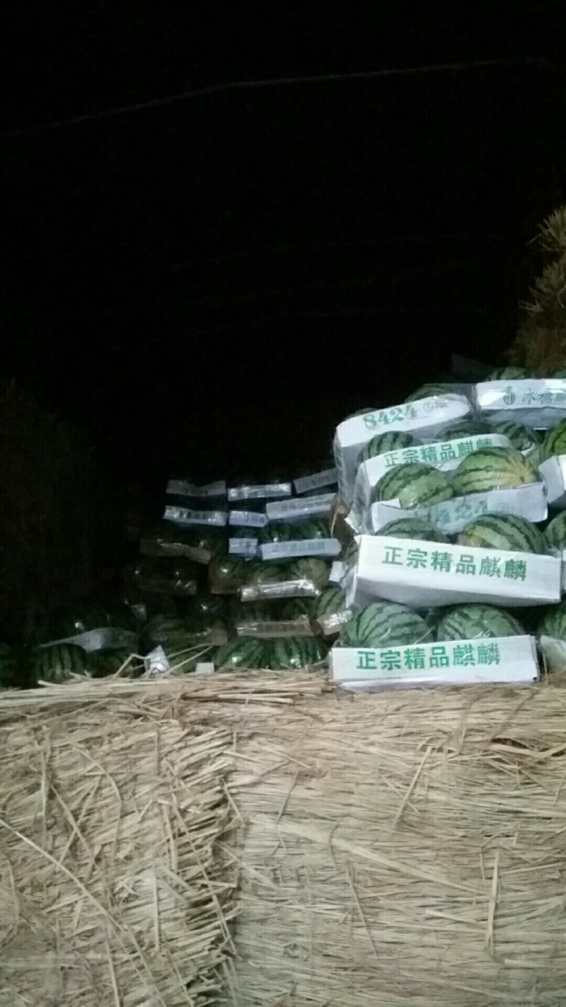 精品美都西瓜，资量保证。大量上市中。