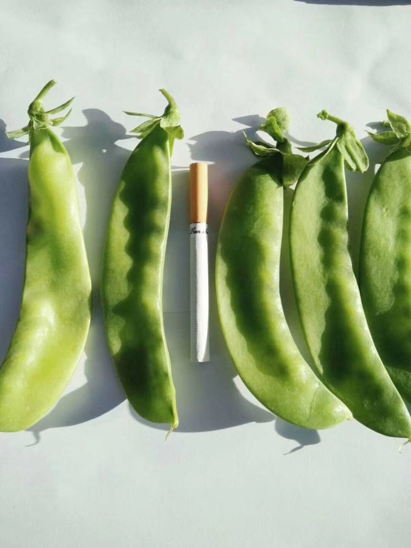 包邮白花大英荷兰豆，鑫农种子，种了都说好