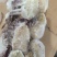 梭子蟹梭子蟹块鲜活速冻梭子蟹块爆炒蟹块香辣蟹块