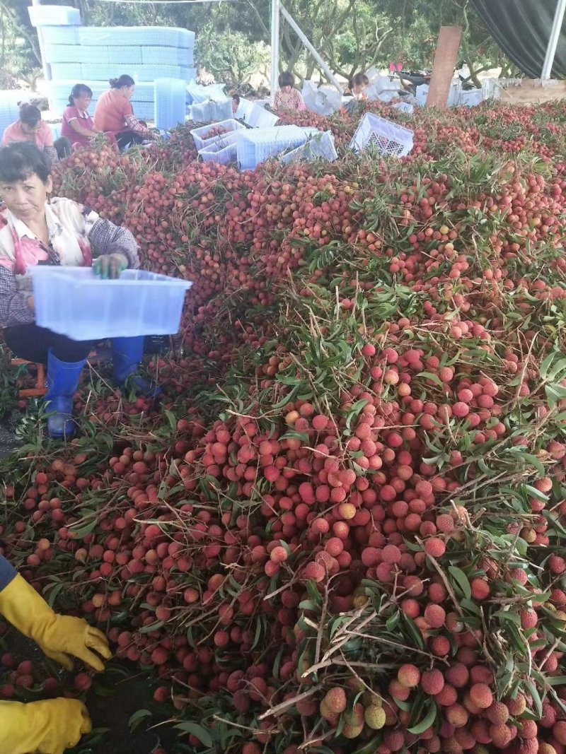 精品双肩玉荷包