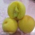 黄金蜜一号