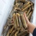 带壳蛏王鲜活速冻蛏王竹蛏子特大蛏子王