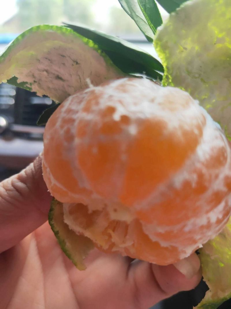 蜜桔柑橘对接市场批发商超，外贸出口，电商平台，不零售