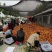 万亩油桃、毛桃产区。大量供应……