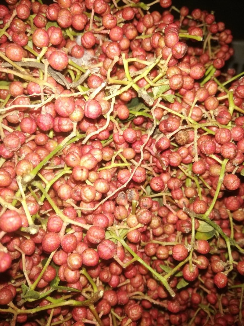 鲜花椒已经上市