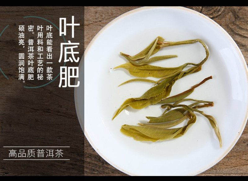 云南茶叶直销普洱茶生茶散茶头春古树大叶种晒青毛料