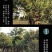 云南茶叶直销普洱茶生茶散茶头春古树大叶种晒青毛料