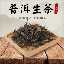 厂家直销云南普洱茶宫廷普洱散茶陈年普洱生茶500g袋