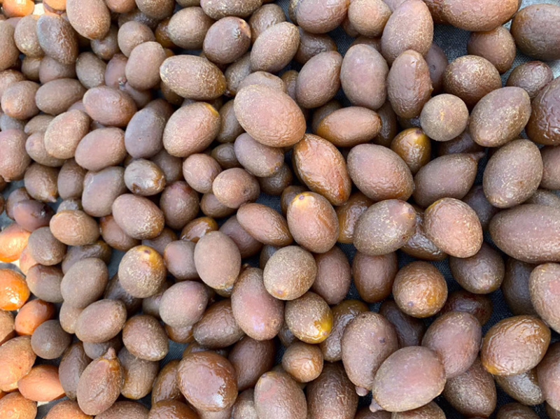【厂家直销】甘草榄卫榄果脯橄榄果量大价优10斤装