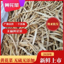 2024年新货托盘黄花菜全干直条色白。无硫绿色健康
