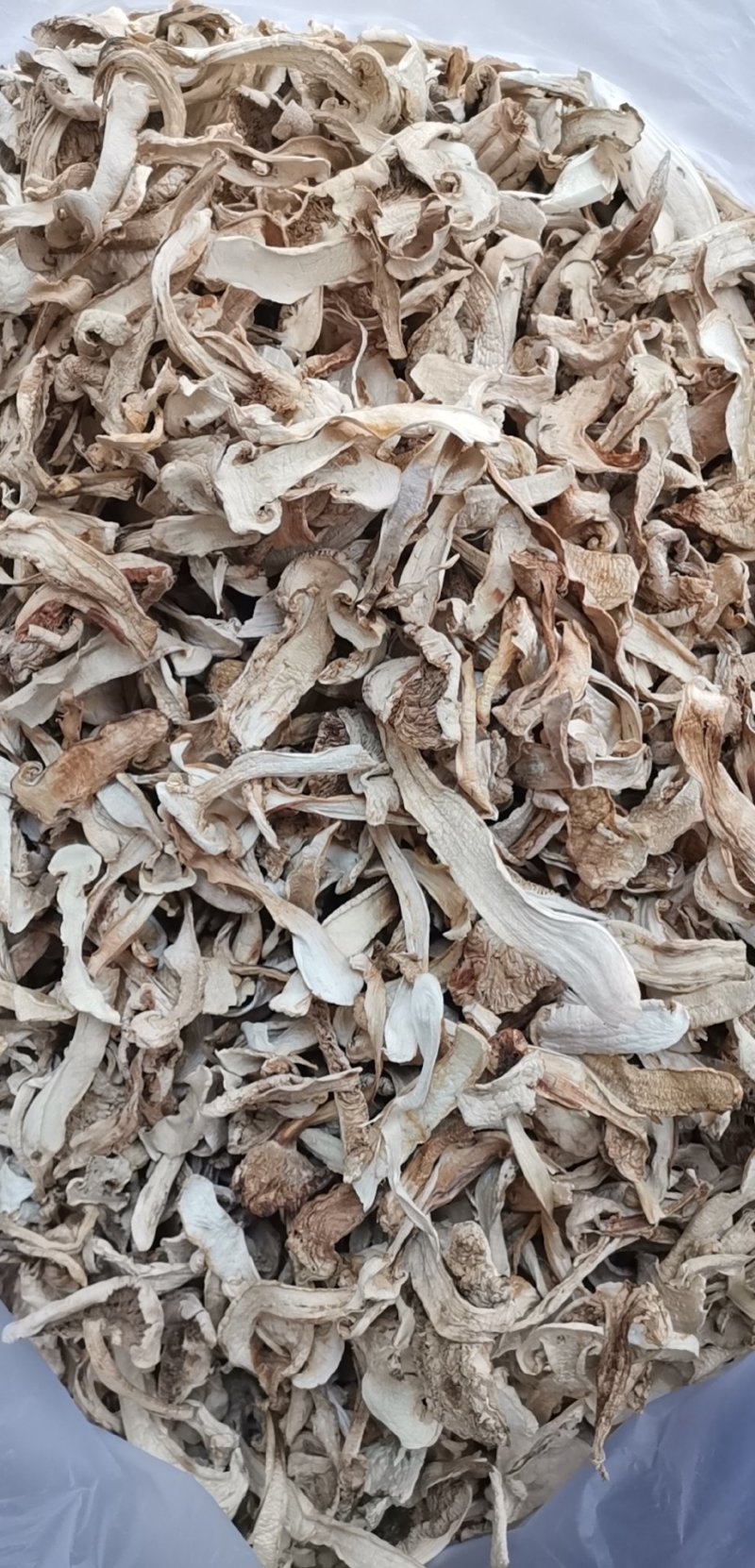 松茸干片松茸抽芯松茸