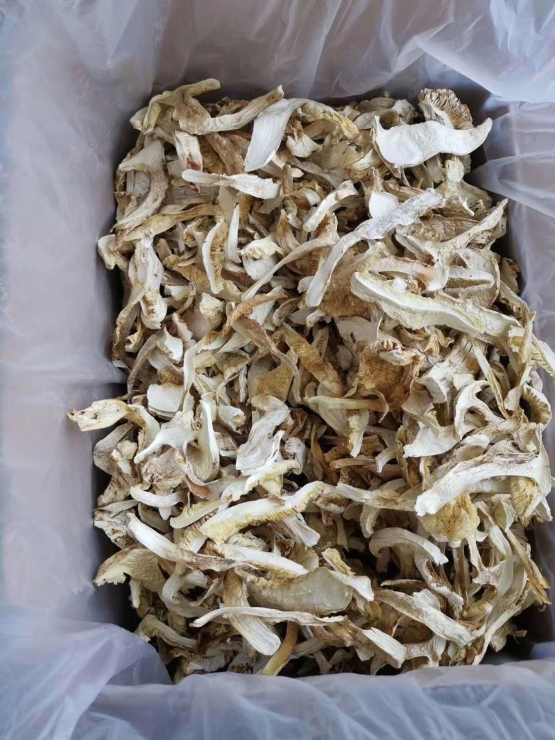 松茸干片松茸抽芯松茸