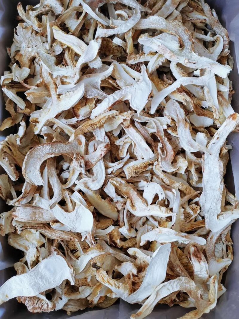 松茸干片松茸抽芯松茸