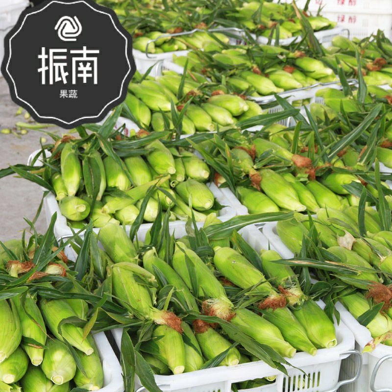 云南水果玉米支持一件代发