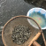 花鲢鱼苗，3厘米左右一尾