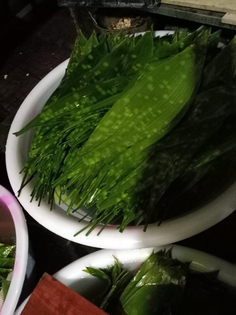 各种粽叶批发