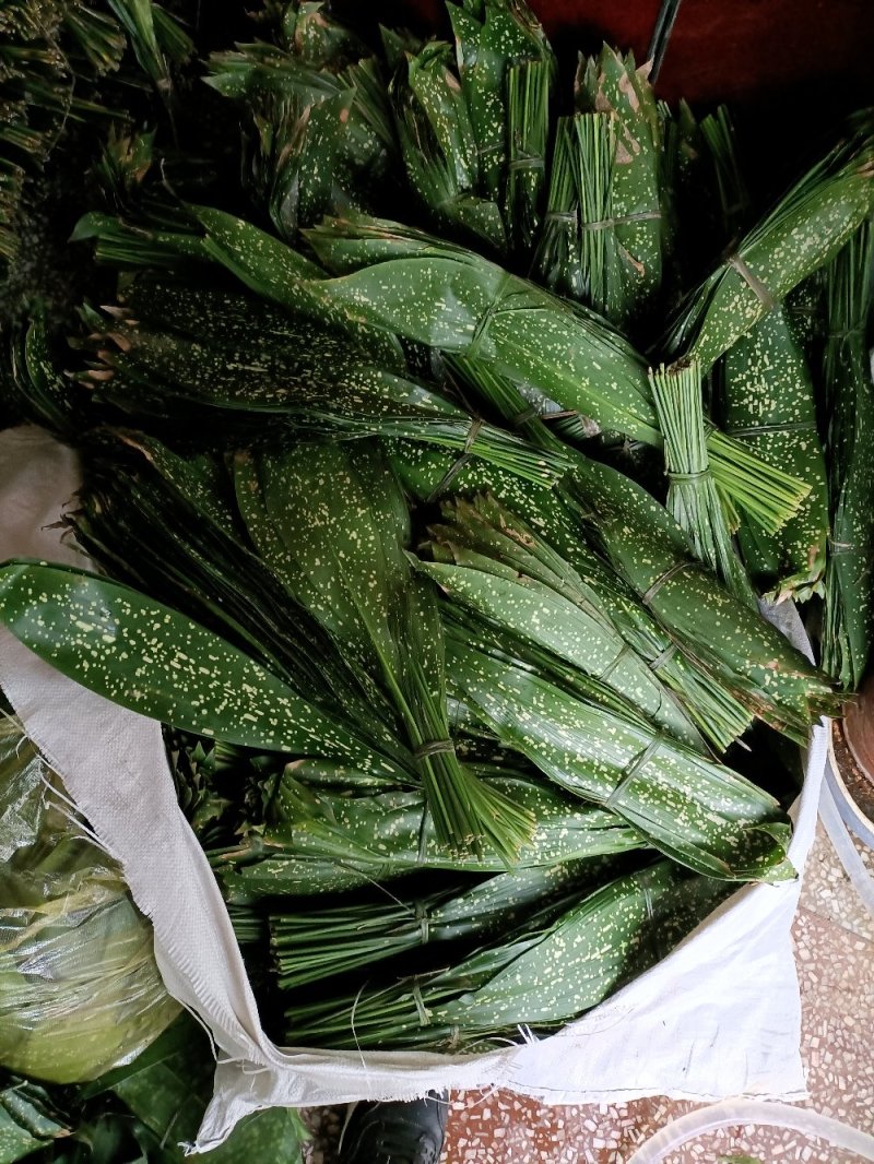 各种粽叶批发