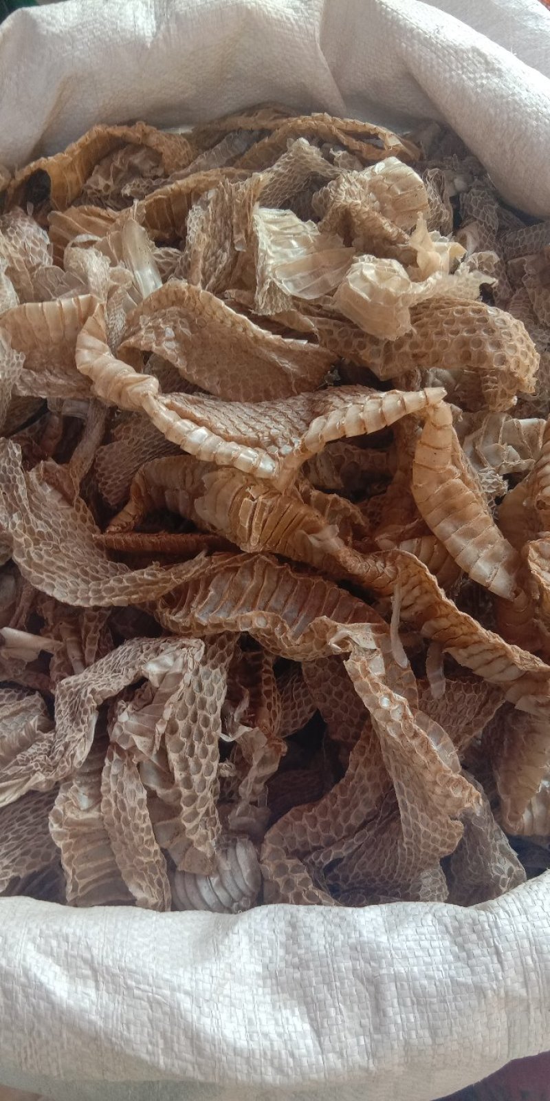 蛇蜕蛇皮龙衣蛇退蛇衣长虫皮各种中药材