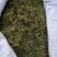 伸筋草伸筋草各种草类中药材批发伸筋草批发