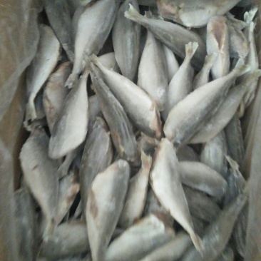 沙丁鱼油炸红烧价格低