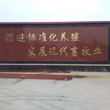 农家纯干驴肉厂家直销质量保证