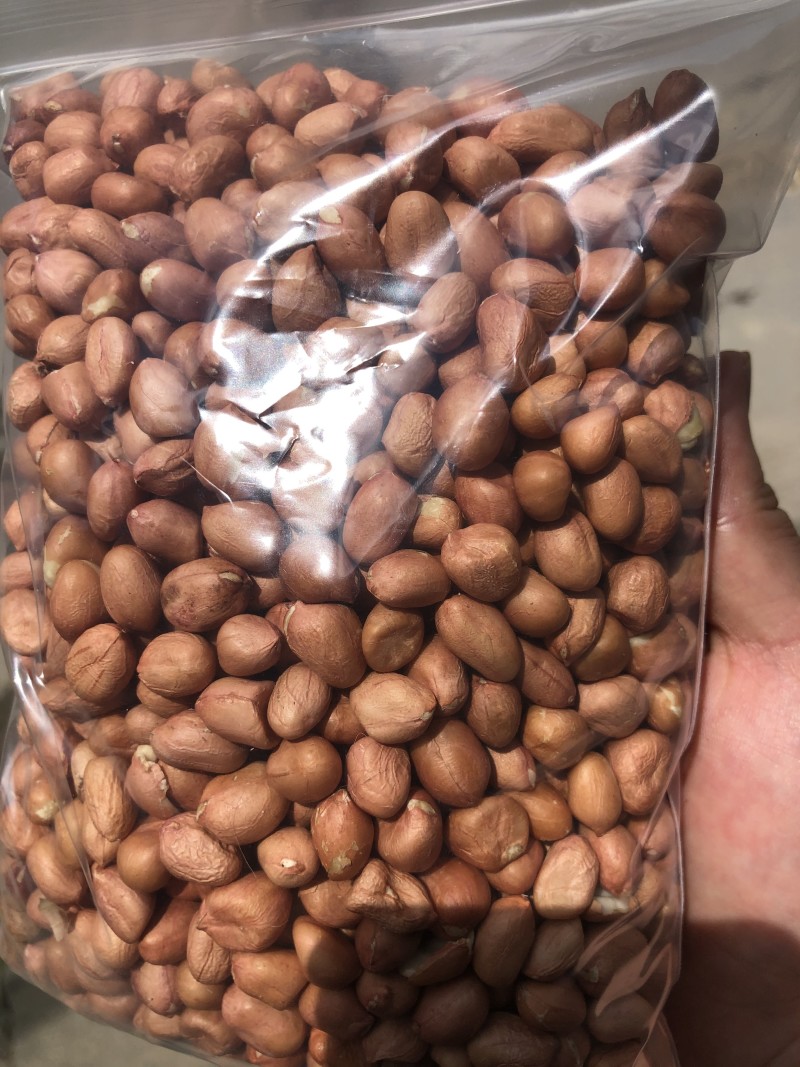 印度新花生白沙40/50规格50/60规格