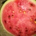 安丘市红沙沟露天西瓜