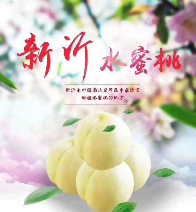 水蜜桃上市了
