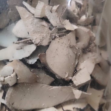 批发代购中药材土甘草经营各种冷背药