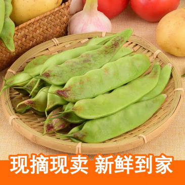 东北油豆角