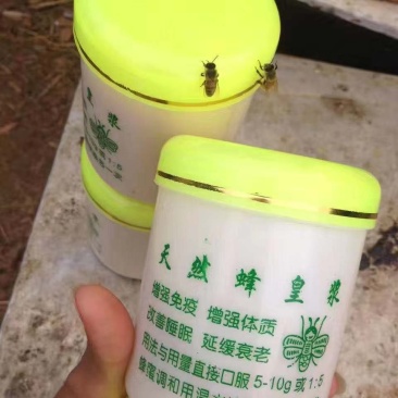 原生态蜂王浆一件代发包邮
