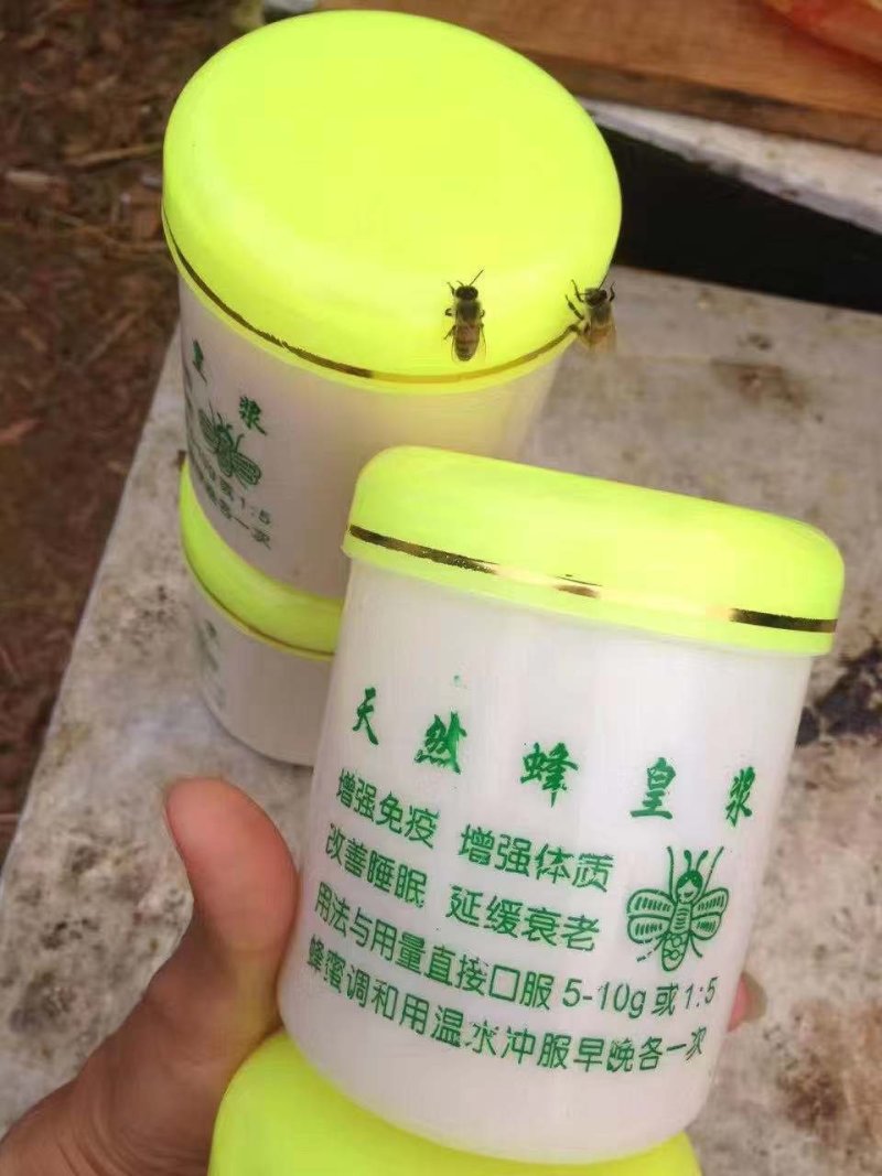 原生态蜂王浆一件代发包邮