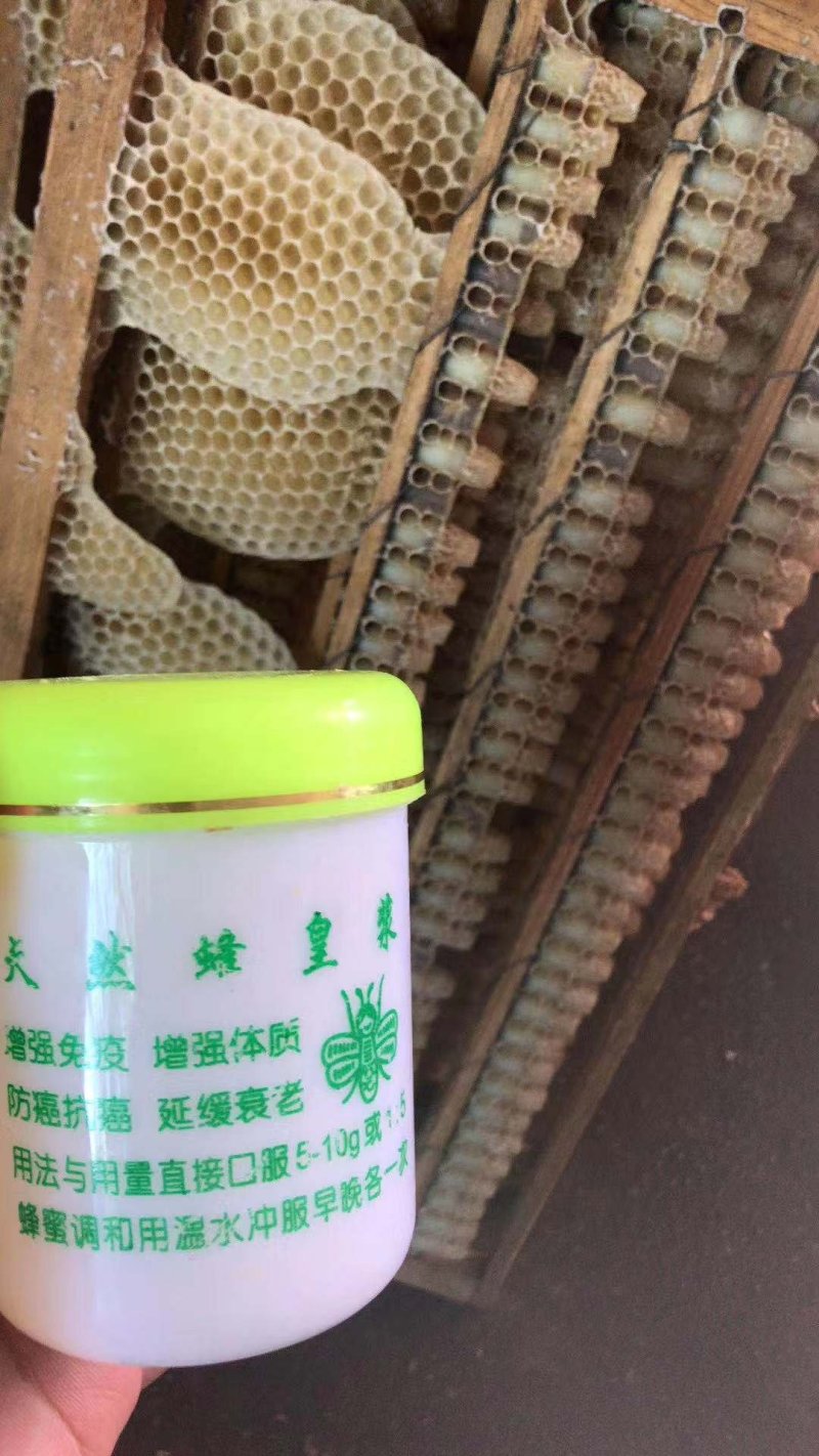 原生态蜂王浆一件代发包邮